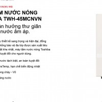 Máy nước nóng Toshiba TWH-45MCNVN(W)-WB